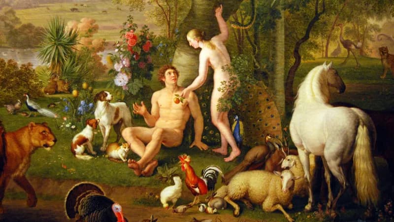 Numerologie und die Bedeutung der Schöpfungstage